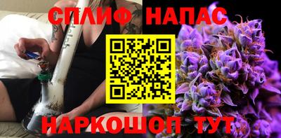 сатива Лесосибирск