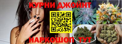 сатива Лесосибирск
