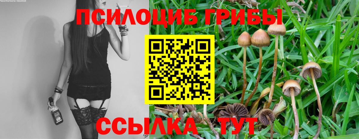 Псилоцибиновые грибы ЛСД  Вход с VPN  Ярцево 